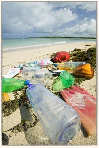 waste in Fiji Islands